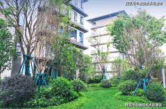 独有滇海海岸线绝